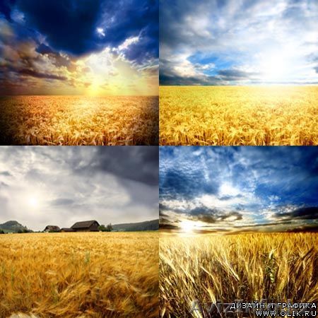 Продажа удобрений селитры марки Б и А - Изображение #1, Объявление #503309