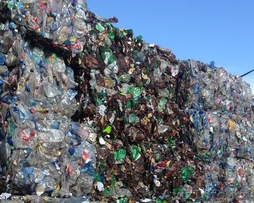 ПЭТ-бутылка прессованная - Изображение #1, Объявление #1486022