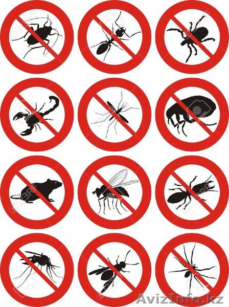  Дезинcекция и дератизация Тараз - Изображение #1, Объявление #1561293