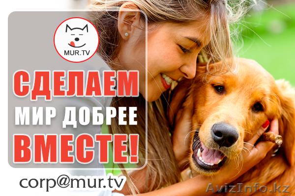 Оказываем информационную поддержку волонтерам и не только - Изображение #1, Объявление #1617290