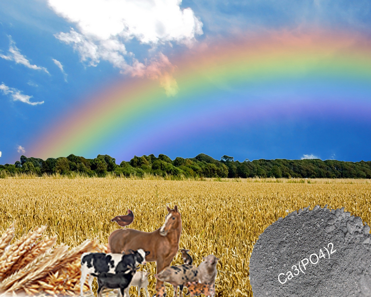 Кормовая  добавка для обогащения и балансирования рационов сх  животных и птиц - Изображение #1, Объявление #1685470