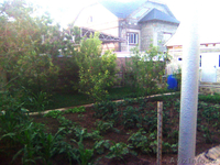 Продам дом со всеми условиями!  - Изображение #5, Объявление #299327