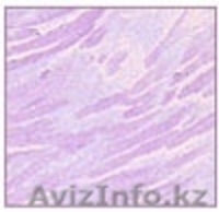 Евро ремонт! Внутренняя отделка! ЕВРО СТАНДАРТ!!! - Изображение #9, Объявление #639204