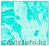 asssa-8@mail.ru тел 34-69-30 - Изображение #4, Объявление #645077