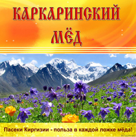 предлагаем оптом натуральный мёд! - Изображение #4, Объявление #875378
