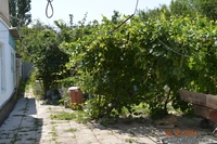 Хороший ухоженный дом в районе элеватора - Изображение #3, Объявление #1164726