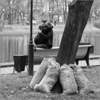 Продаю морковку звоните - Изображение #2, Объявление #1201250