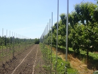 Металлические опоры Stilmer - Изображение #7, Объявление #1492430