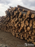 Пиломатериалы Любого размера - Изображение #2, Объявление #1610304