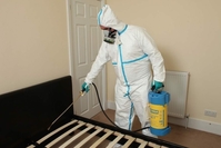 дизефекция-химчистка - Изображение #3, Объявление #1724089