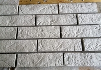 Формы для гипса ( декоративный кирпич). Формы под гипс.12 - Изображение #1, Объявление #1731374