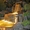 Искусственные  водопады , каскадные , декоративные - Изображение #5, Объявление #1521410