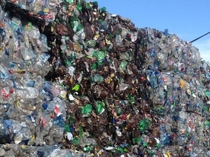 Баклашка в прессованном  виде