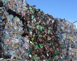 Прессованная баклашка