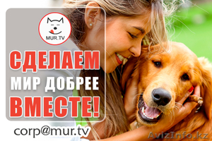 Информационная поддержка. Сделаем добрее мир 