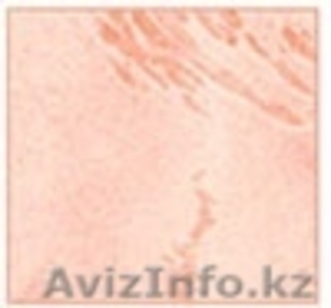 asssa-8@mail.ru тел 34-69-30 - Изображение #3, Объявление #645077