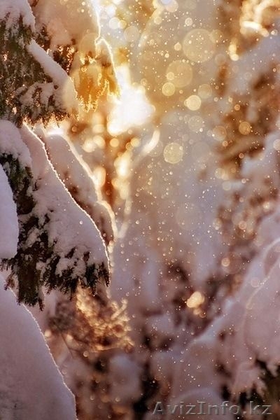 Профессиональный фотограф.. - Изображение #3, Объявление #1011206