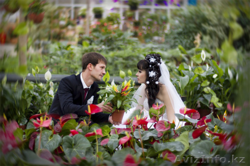 Фото-видеосъёмка на СВАДЬБУ!  Профессионально!!! - Изображение #7, Объявление #1061526