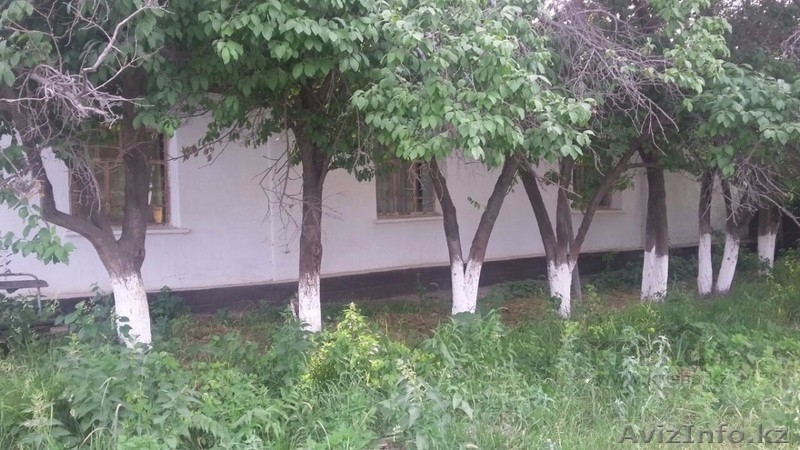 Продаю дом в с. Гродиково, ул.Мира - Изображение #1, Объявление #1351920