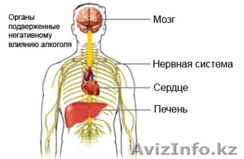 Частный медицинский кабинет - Изображение #6, Объявление #1373444