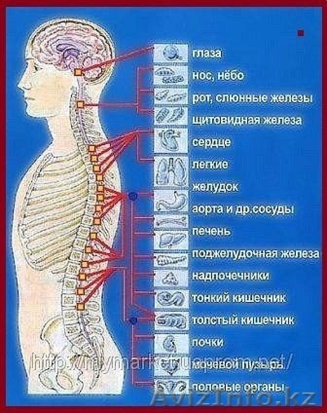 Частный медицинский кабинет - Изображение #8, Объявление #1373444