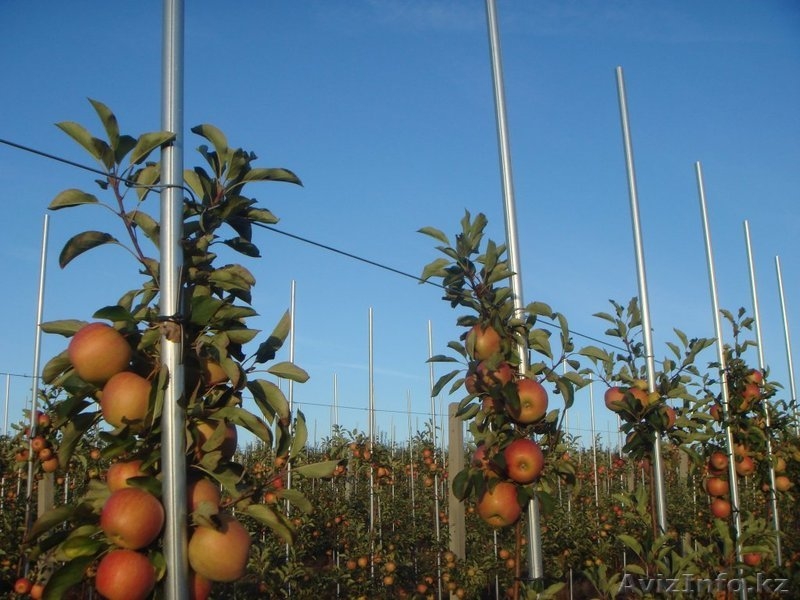 Металлические опоры Stilmer - Изображение #3, Объявление #1492430