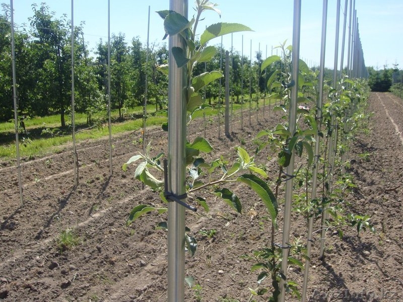 Металлические опоры Stilmer - Изображение #6, Объявление #1492430