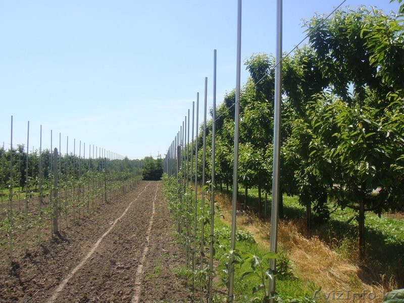 Металлические опоры Stilmer - Изображение #7, Объявление #1492430