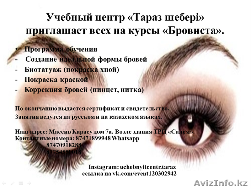 Курсы профессионального Бровиста - Изображение #1, Объявление #1486251