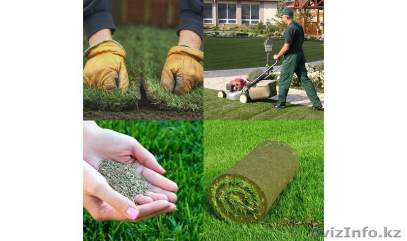 Садовый центр Нури - Изображение #4, Объявление #1602593