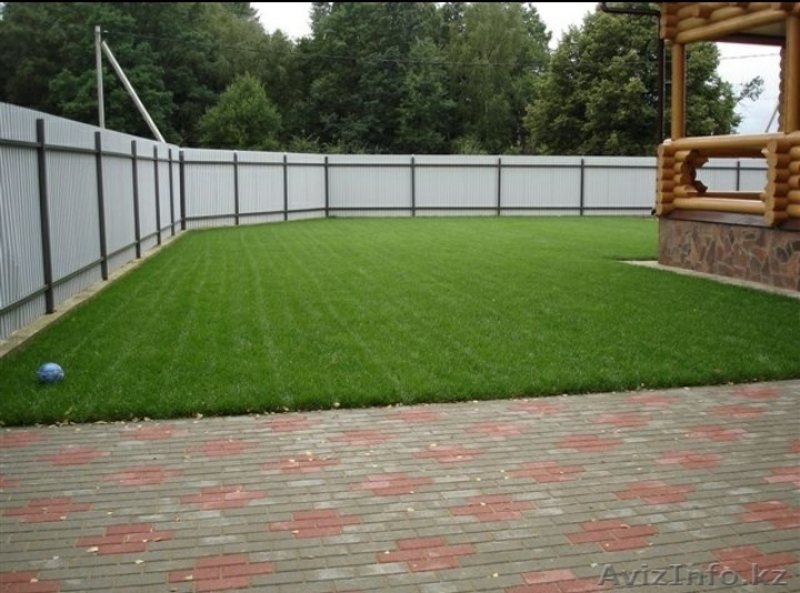 Рулонный живой газон, дёрн, посев семян газона - Изображение #2, Объявление #1631564