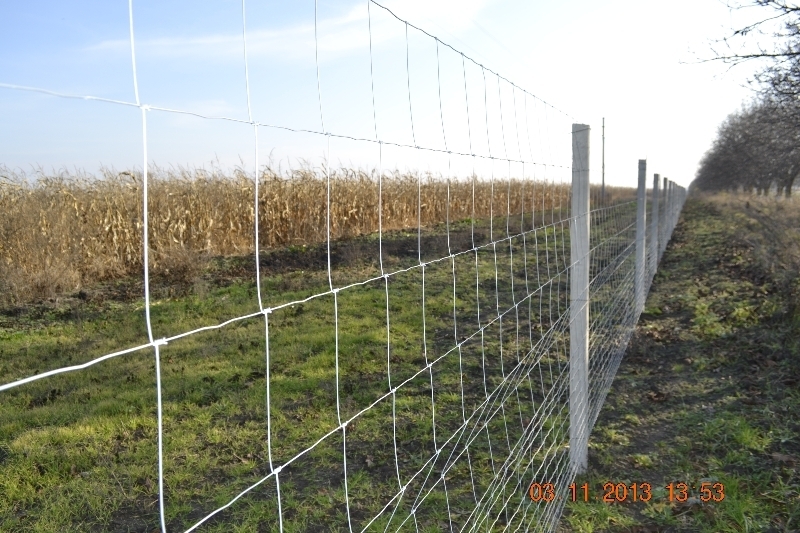 Сетка "Чабанка" для ограждения - Изображение #1, Объявление #1646974